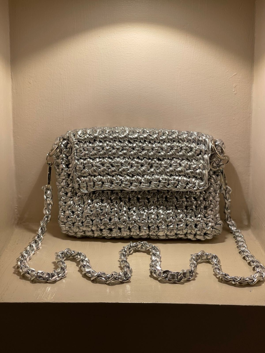 Silver Loop Bag
