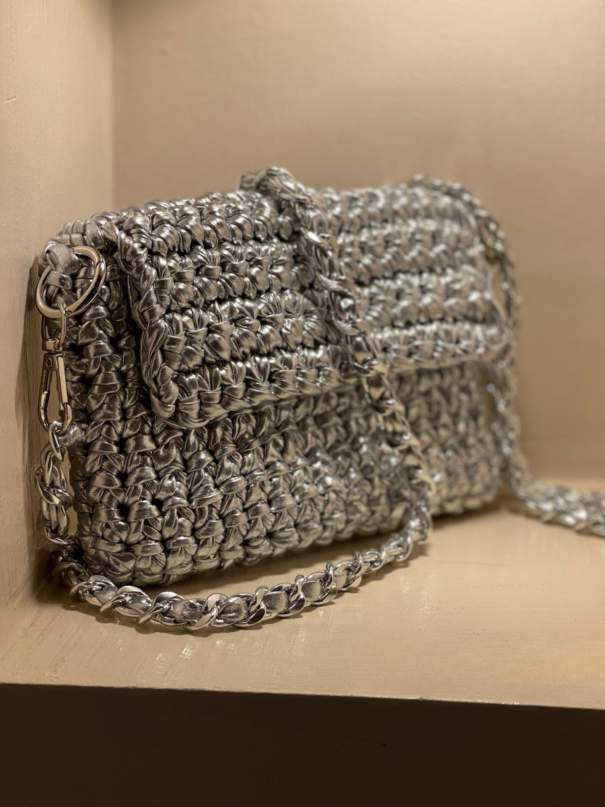 Silver Loop Bag